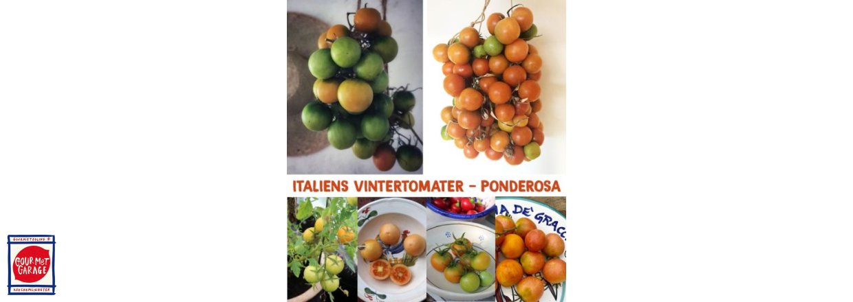Italiens hållbara tomater kommer INTE från Serbien