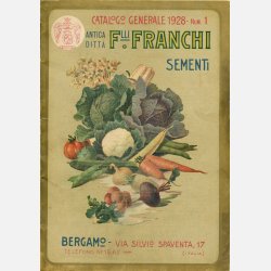 Rdisa FORZARE DI GAUDY ROTONDO ROSA GRANDE PUNTA BIANCA (VINTAGE)