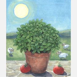 Basilika ITALIANO CLASSICO "TIGULLIO"