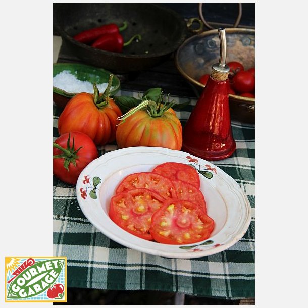 Tomat CUOR DI BUE ALBENGA (Franchi)