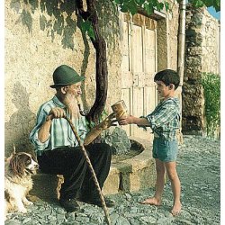 Alpin sallatsmix MISTICANZA DI LATTUGHE ALPINE (Franchi)