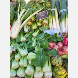 Orientalisk mixsallat (Misticanza Oriental salad) - STORPACK