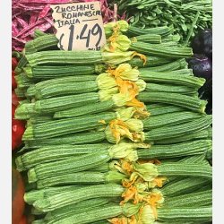 Zucchini ROMANESCO (Franchi)