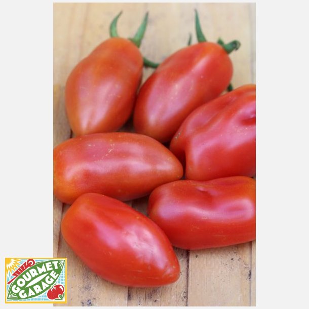 Tomat SAN MARZANO 2 - ekologiska frer - OBS! Ca. 130 EKOFRER