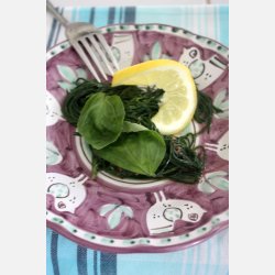 Agretti - Roscano (Salsola Soda)