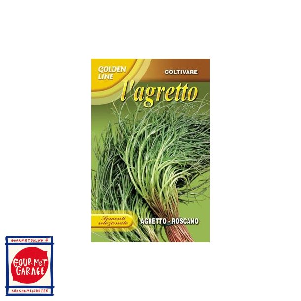 Agretti - Roscano (Salsola Soda) 