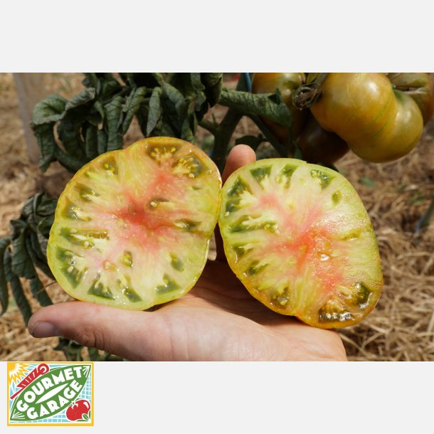 Tomat ANANORI (ANANAS NOIR) - Ekologiska/Demetercertifierade fr�er