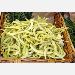 Strbna Anellino giallo