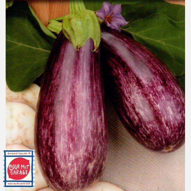 Aubergine Listada de Gandia (Ganda)