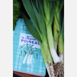 Purjol�k SAINT VICTOR - Ekologiska fr�er