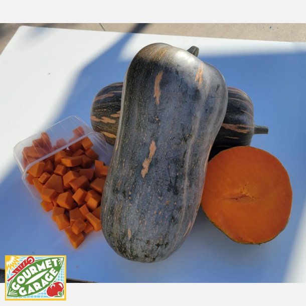 Pumpa Agata F1