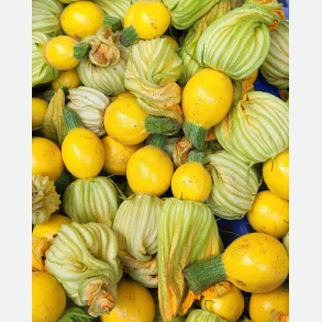 Zucchini Ball Rondini mix - mix av olika runda kultur zucchinisorter