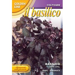 Basilika DARK OPAL (VIOLETTO AROMATICO) - STORPACK