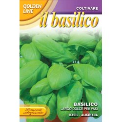 Basilika LARGO DOLCE PER VASI - STORPACK 