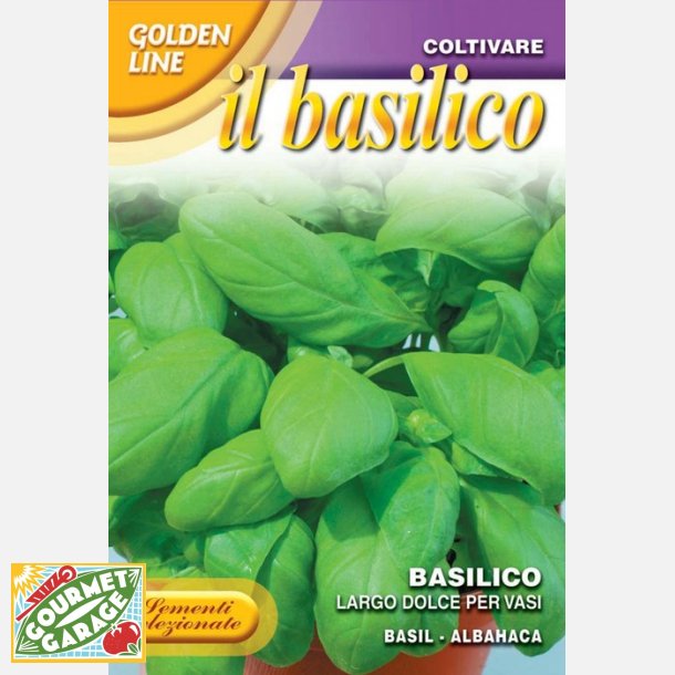 Basilika largo dolce per vasi - STORPACK 