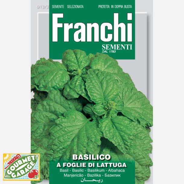 Basilika FOGLIE LATTUGA - Salladsbasilika (Franchi)