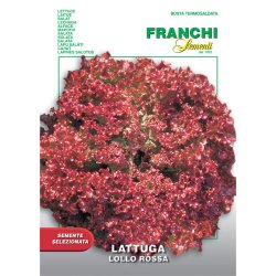 Bataviasallat Lollo Rossa - STORPACK