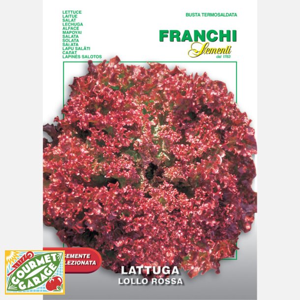 Bataviasallat Lollo Rossa - STORPACK