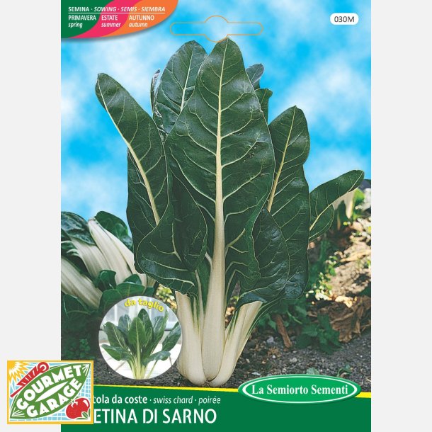 Mangold Bietina di Sarno