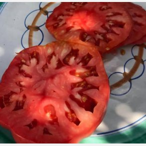 Tomat BEEFSTEAK - Ekologiska fr�er