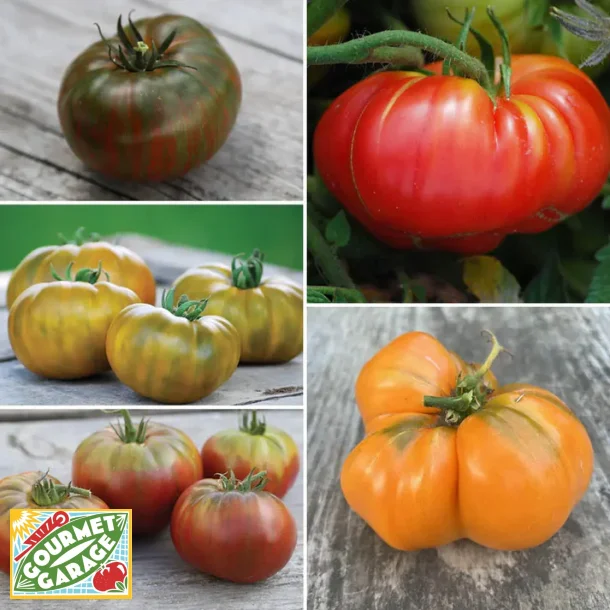 Tomatmix BIFFTOMATER - 5 olika sorter - Ekologiska fr�er