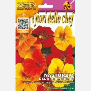 Blomsterkrasse NASTURZIO NANO MULTICOLOR (Franchi)