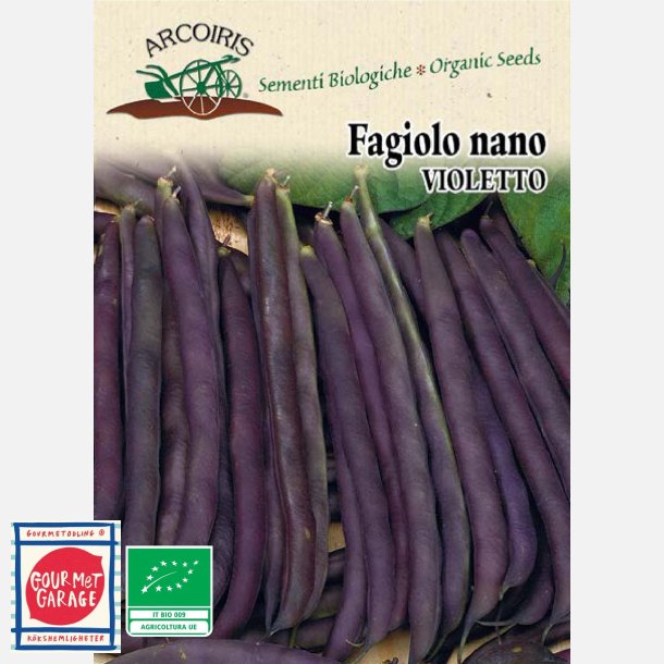 Böna Purple Queen (Fagiolo nano violetto) - ekologiska fröer