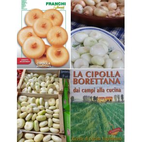 Lk BORETTANA (Franchi)