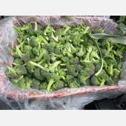 Broccoli Ramoso Calabrese - STORPACK 