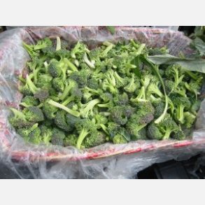 Broccoli Ramoso Calabrese - STORPACK 