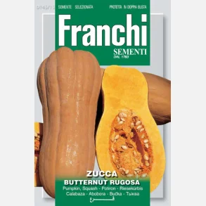 Pumpa BUTTERNUT RUGOSA (Franchi)