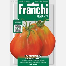 Tomat CANESTRINO DI LUCCA (Franchi)