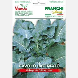Bladk�l portugisisk GALEGA DE FOLHAS LISAS (Franchi)