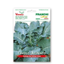 Bladkl portugisisk - Galega de folhas lisas