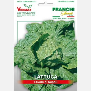 Bataviasallat CAVOLO DI NAPOLI - STORPACK
