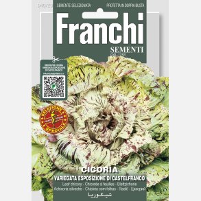 Radicchio variegata di Castelfranco  - STORPACK