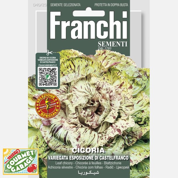 Radicchio variegata di Castelfranco  - STORPACK