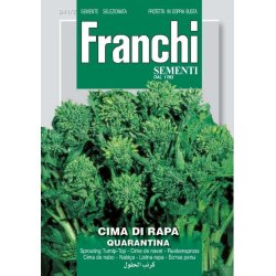 Cima di rapa Quarantina 