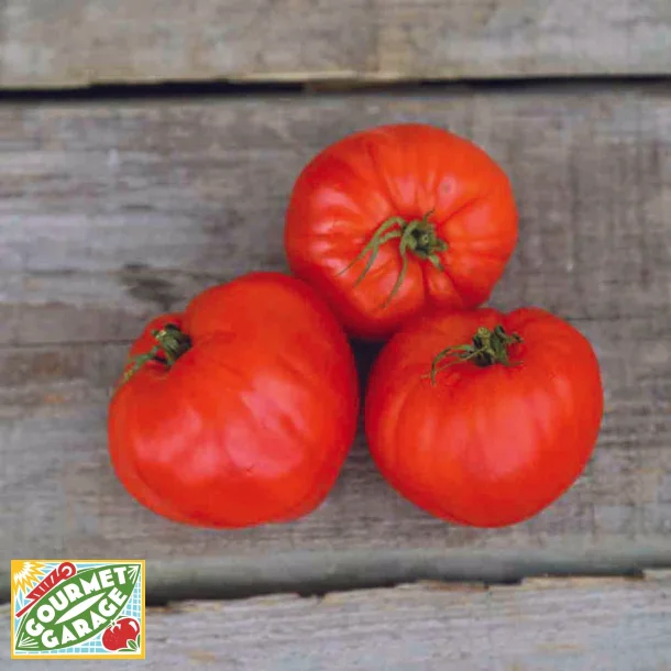 Tomat COEUR DE BOEUF REIF RED - Ekologiska fr�er