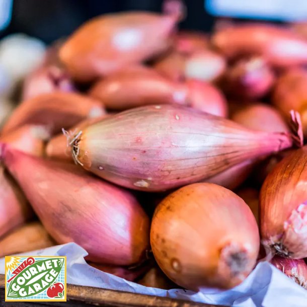 L�k r�d (Oignon rouge) CUISSE DE POULET DU POITOU - Ekologiska fr�er