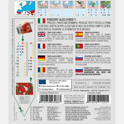 Tomat PICCOLO DATTERO F.1 (Valido F.1) 