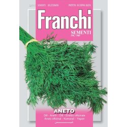 DILL (ANETO)
