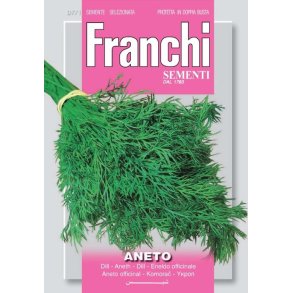 DILL (ANETO)