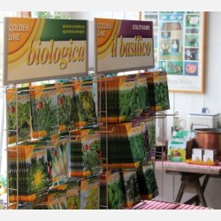 Romansallat BIONDA DEGLI ORTOLANI (Franchi) - Ekologiska fr�er