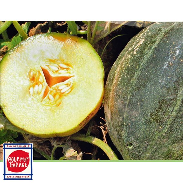 Melon Petit gris de Renne - ekologiska fröer