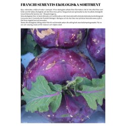 Persilja GIGANTE DI NAPOLI - ekologiska frer 