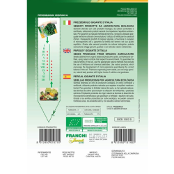 Persilja GIGANTE DI NAPOLI - ekologiska frer 