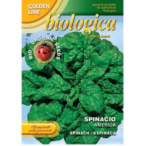 Spenat America - ekologiska frer 