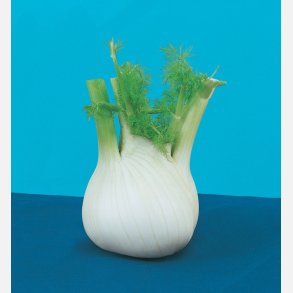 Fnkl di Sarno - STORPACK