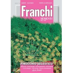 Vildfnkl (Finocchio selvatico) - STORPACK